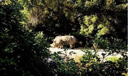 动植物公园地址_长春动植物公园地址