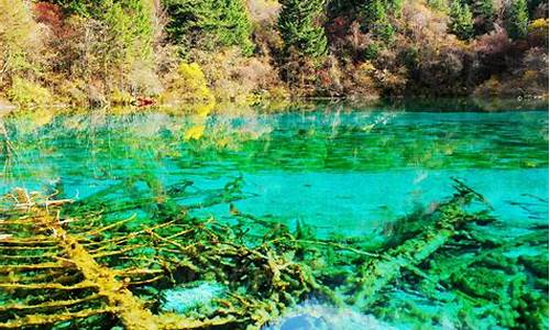 什么时候去九寨沟旅游好_什么时候去九寨沟旅游好旅游好