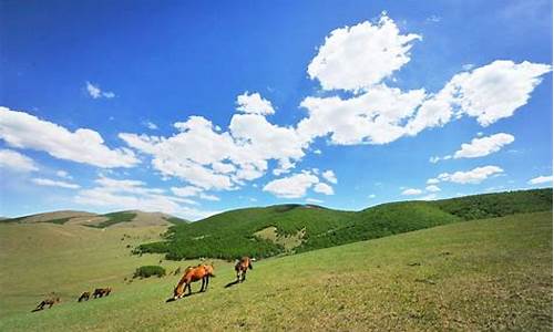 丰宁坝上草原旅游攻略2天_丰宁坝上草原旅游攻略2天自驾