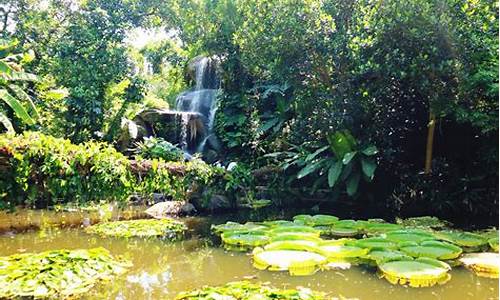 厦门植物园一日游攻略_厦门植物园一日游攻略图